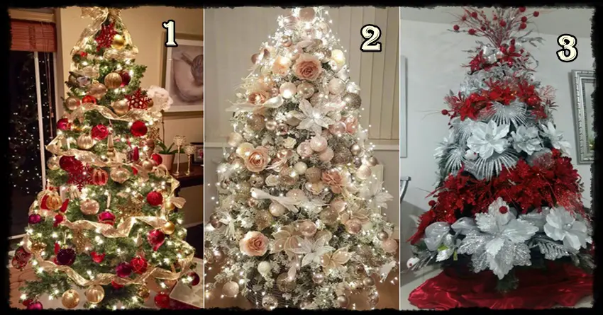 Jelku izaberite i saznajte sta vam donosi decembar?! Jelku izaberite i saznajte sta vam donosi decembar?!