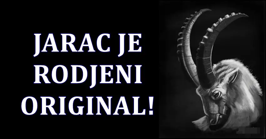 On je unikat! Evo zasto je jarac rodjeni original!