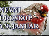 Dnevni horoskop za 9. januar.