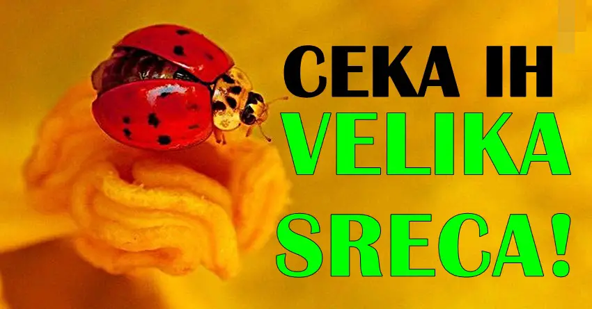 Ceka ih velika sreca do kraja nedelje! Znaci zodijaka koji ce pratiti velika sreca!