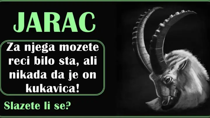 Za JARCA niko ne moze reci da je kukavica! Evo dokaz da se nicega ne plasi!