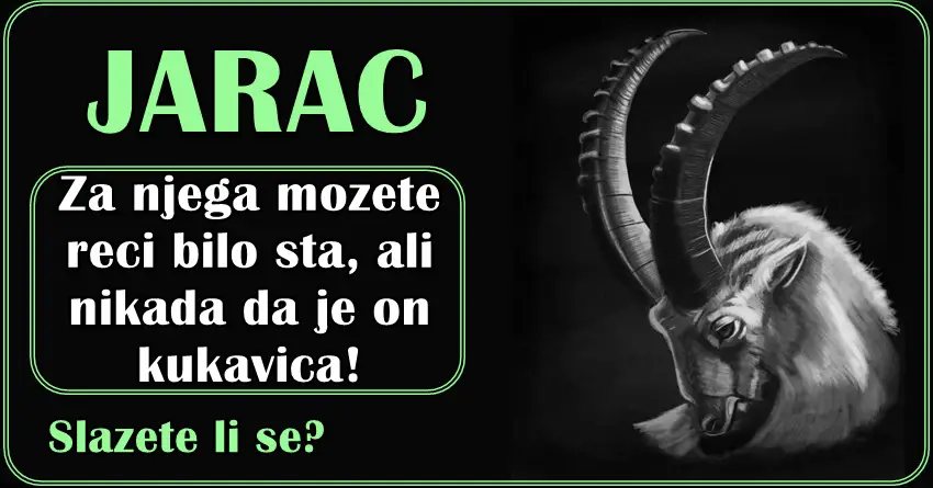 Za JARCA niko ne moze reci da je kukavica! Evo dokaz da se nicega ne plasi!