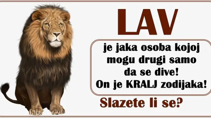 LAV je jaka osoba kojoj mogu drugi samo da se dive! On je KRALJ zodijaka!