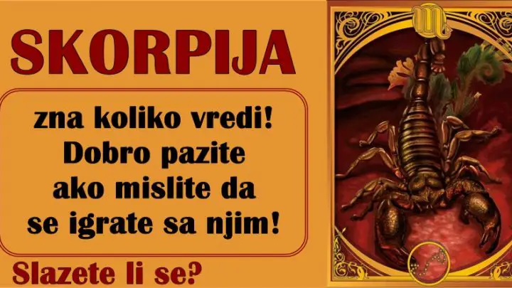 SKORPIJA zna koliko vredi! Dobro pazite ako mislite da se igrate sa njim!