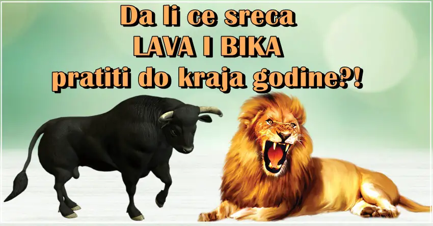 Da li ce sreca LAVA I BIKA pratiti do kraja godine?! Da li ce sreca LAVA I BIKA pratiti do kraja godine?!