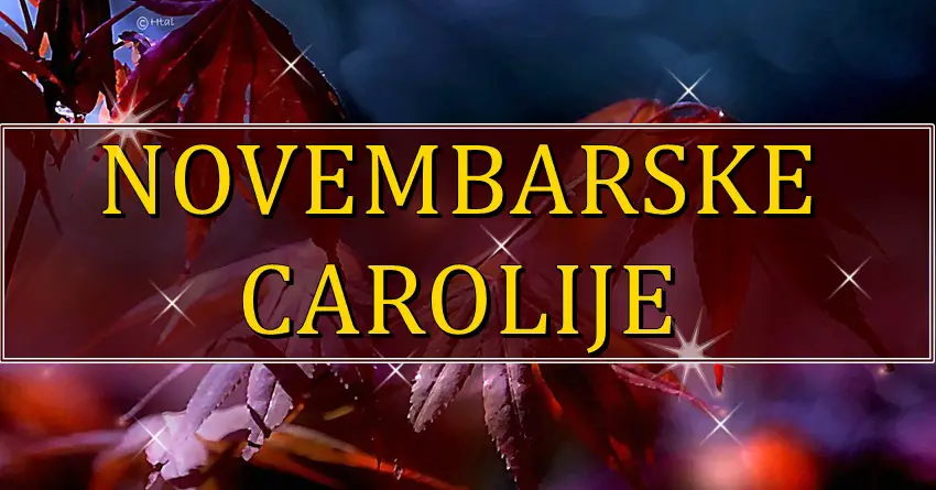 NOVEMBARSKE CAROLIJE nekome donose veliko cudo! NOVEMBARSKE CAROLIJE nekome donose veliko cudo!