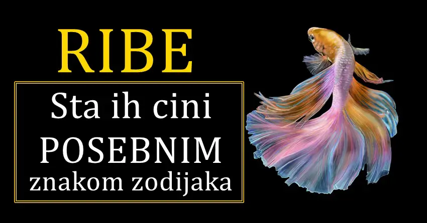 Sta cini RIBE zaista posebnima?! Zbog cega se razlikuju od drugih?! Otkrivamo… Sta cini RIBE zaista posebnima?! Zbog cega se razlikuju od drugih?! Otkrivamo…
