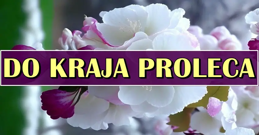 Do kraja proleca jedan znak ce doziveti veliku promenu, a neko ce upasti u emotivnu krizu! Do kraja proleca jedan znak ce doziveti veliku promenu, a neko ce upasti u emotivnu krizu!