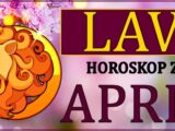 Lavu