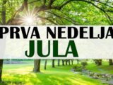 Prva nedelja jula