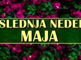 Poslednja nedelja maja