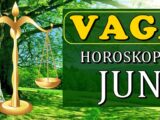 Vagi