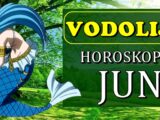 Vodolijama