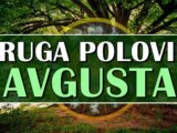 Druga polovina avgusta