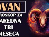 NAREDNA TRI MESECA