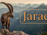 Jarac