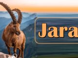 Jarac