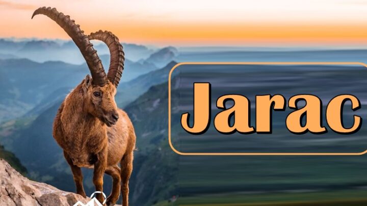 JARAC je dobar čovek koji će svakome pomoci i pružiti ruku spasa, ali nikada neće DOZVOLITI OVO!