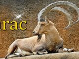 jarac