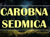 sledeća sedmica