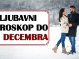 Ljubav do 15. decembra