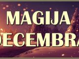 Magija decembra