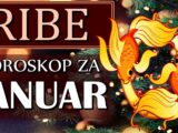 Ribe