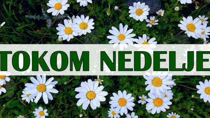 Ova sedmica nekome donosi neočekivan sukob, dok će jedan znak morati da donese važnu odluku!