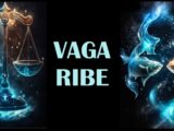 Vaga i Ribe