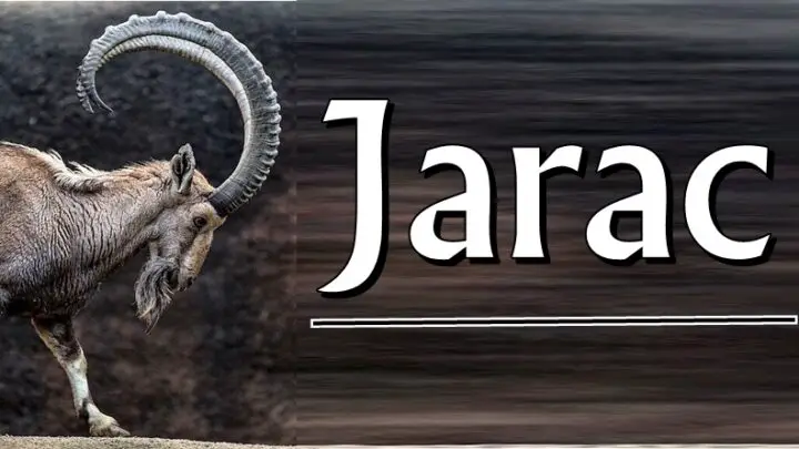 Ispred JARCA možete da klečite, ali OVO on nikada NEĆE OPROSTITI!