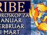 Ribe
