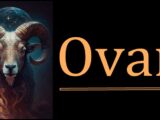 Ovan