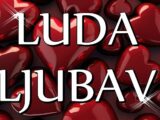 luda ljubav