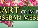Mart