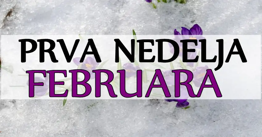 PRVA NEDELJA FEBRUARA će Jarcu doneti novu saradnju i uspeh, Vagama stižu nove prilike, a OVOM znaku TOTALNA ŽIVOTNA PROMENA!