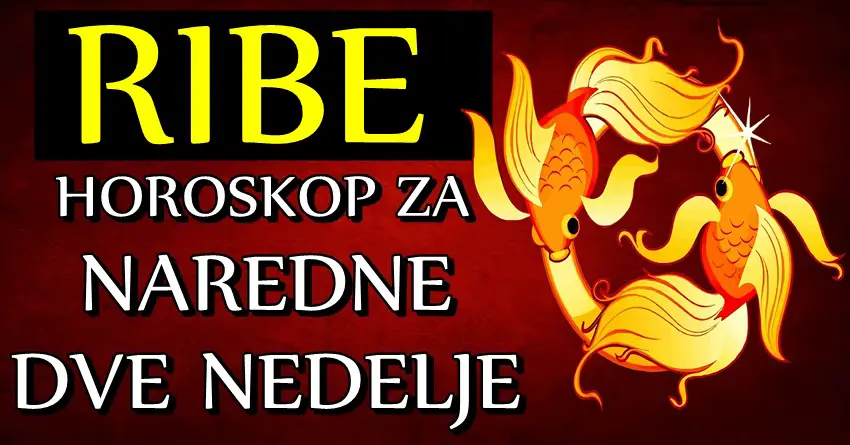 RIBE će u NAREDNE DVE NEDELJE imati VIŠE SREĆE nego što misle! Ostvariće nešto JAKO VAŽNO za njih!