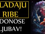Vladaju Ribe