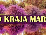 do kraja marta