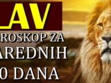 LAVOVI