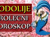 Vodolije