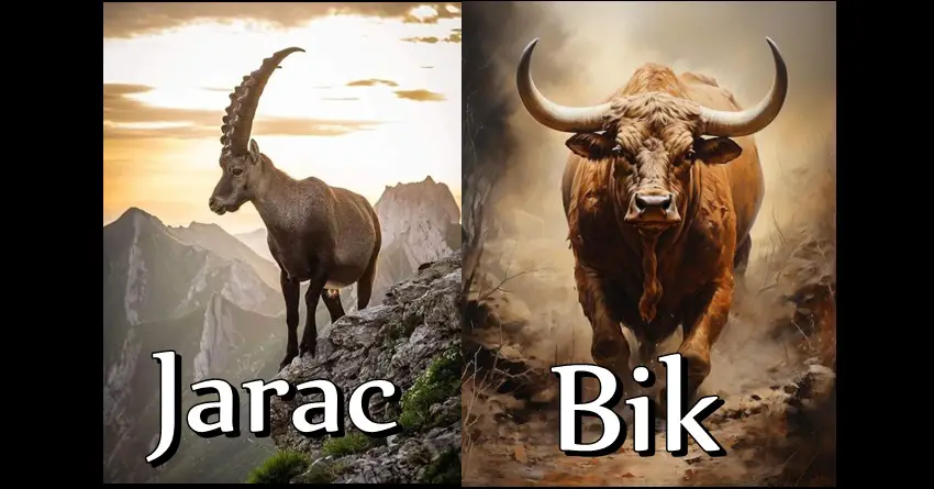 ISTINA o JARCU I BIKU – Retko ko zna koliko su ova dva znaka zodijaka zaista MOCNI! Oni su UNIKAT! ISTINA o JARCU I BIKU – Retko ko zna koliko su ova dva znaka zodijaka zaista MOCNI! Oni su UNIKAT!