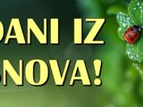 Narednih sedam dana će biti DANI IZ SNOVA za Device, Jarca I Ribe! Čeka ih period pun sreće!