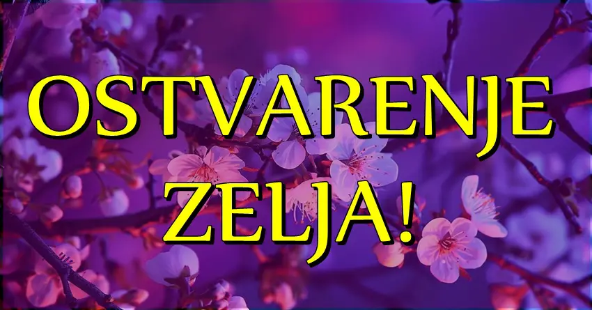 Oni ce ICI na SVE ili NISTA, i moci ce da kazu da su im se ZELJE OSTVARILE: BLAGO OVIM znacima zodijaka!