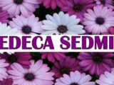 Sledeća sedmica