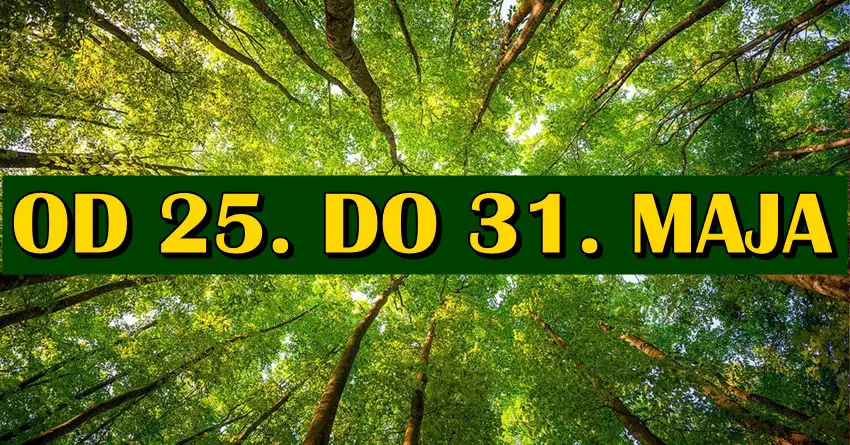 Od 25. do 31. maja Ribe donose mudru odluku, Device čeka napredak, a OVAJ znak mora biti mnogo oprezniji! Od 25. do 31. maja Ribe donose mudru odluku, Device čeka napredak, a OVAJ znak mora biti mnogo oprezniji!