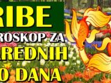 Ribe