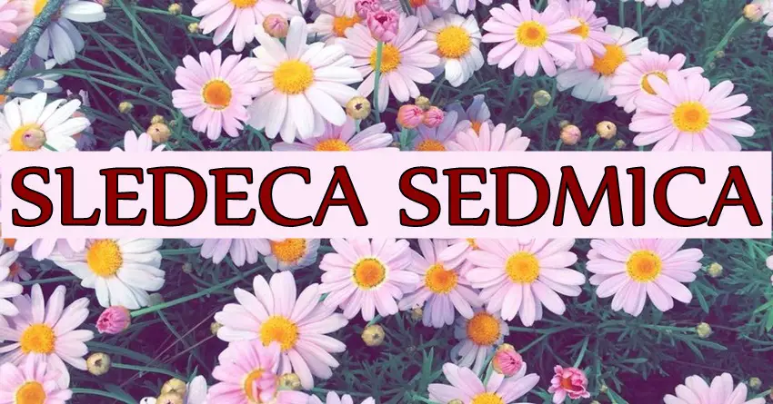Ove nedelje Ovnove očekuju brze odluke, Jarcu će biti posvećen važan zadatak, a OVAJ znak će doživeti neočekivani preokret! Ove nedelje Ovnove očekuju brze odluke, Jarcu će biti posvećen važan zadatak, a OVAJ znak će doživeti neočekivani preokret!