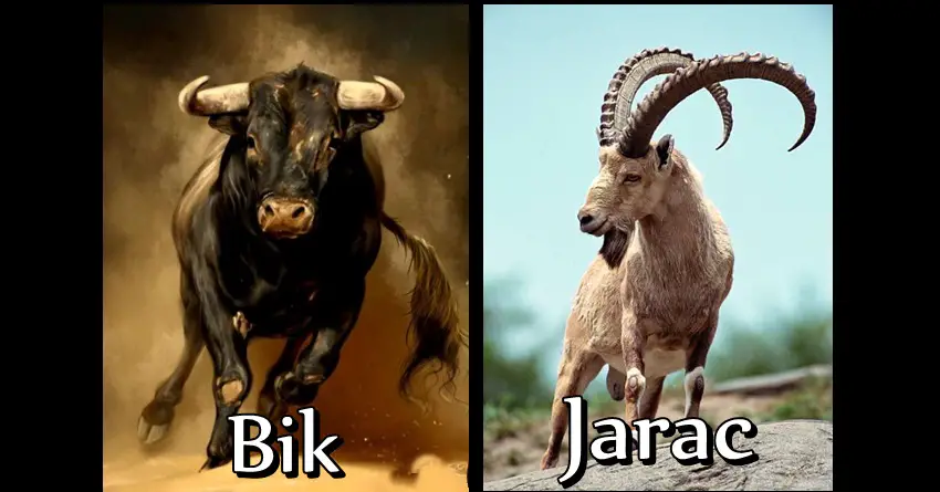 Bik i Jarac su NAJMOĆNIJI znaci zodijaka! Imaju VELIKO SRCE i DUŠU ANDJELA, ali nikada neće dozvoliti OVO! Bik i Jarac su NAJMOĆNIJI znaci zodijaka! Imaju VELIKO SRCE i DUŠU ANDJELA, ali nikada neće dozvoliti OVO!