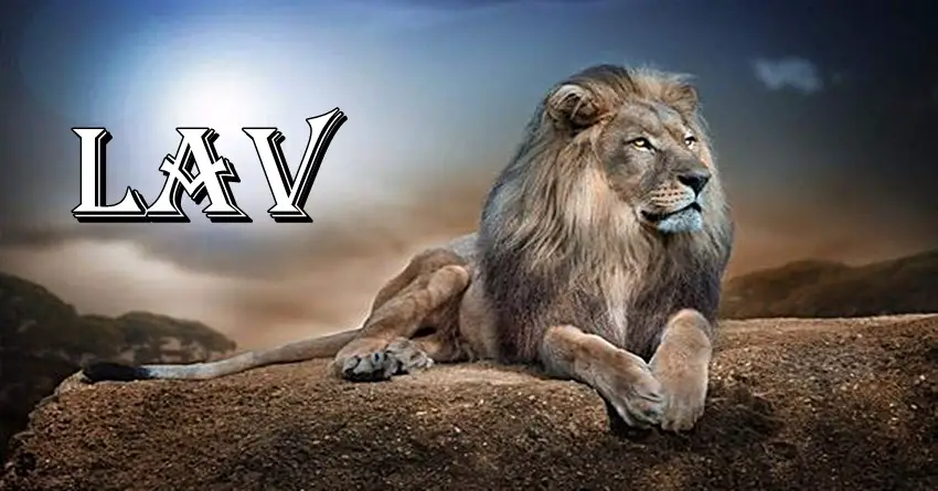 LAV vazi za snažnog i neustrasivog znaka zodijaka, ali je jako ranjiv i slab na OVO! LAV vazi za snažnog i neustrasivog znaka zodijaka, ali je jako ranjiv i slab na OVO!