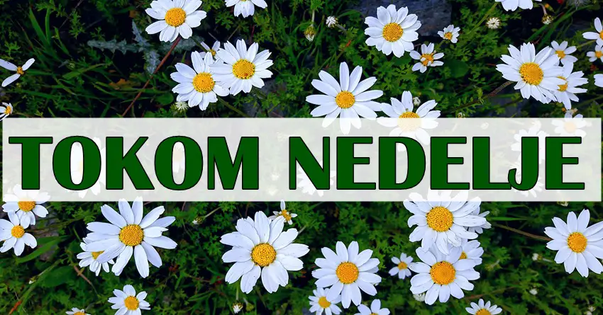 Ove nedelje od 3. do 10. juna Jarca očekuje zaslužena nagrada, Škorpiju čeka promena, a OVAJ znak novčani dobitak! Ove nedelje od 3. do 10. juna Jarca očekuje zaslužena nagrada, Škorpiju čeka promena, a OVAJ znak novčani dobitak!